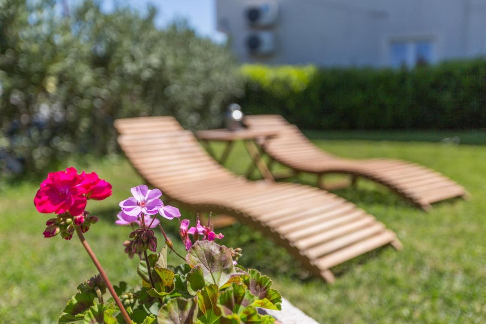Riva Garden Exclusive Apartment Funtana Exterior photo
